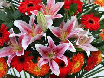 图 成都开业花蓝 鲜花速递 精美花束礼盒 鲜花定制 成都鲜花绿植