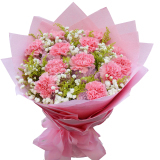 康乃馨 鲜花速递全国 母亲节鲜花 母亲节礼物 生日礼物 生日鲜花快递 祝福鲜花 送妈妈鲜 11朵粉色康乃馨鲜花:“老板非常nice,送货速度超快,花束包的很好看,妈妈收到超开心,店铺收藏了” - 京东