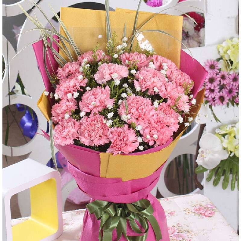 花袭人 鲜花速递全国 19朵粉色康乃馨 教师节教师节送花 送母亲送老师 鲜花预定全国北京上海广州同城配送