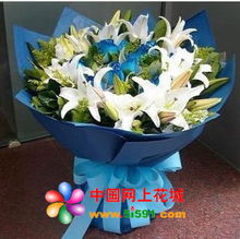 延长网上花店 商品内容 花束.12朵蓝玫瑰 9支香水百合,点缀配材. 蓝皱纹纸圆形精美包装,配蝴蝶结束扎
