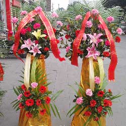 陇南花店 陇南鲜花速递 陇南网上订花送花 六朵花