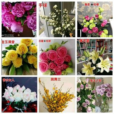 全部产品