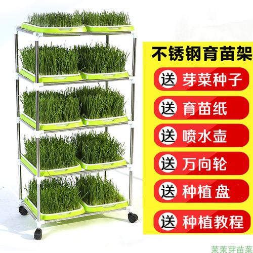 纸上种菜的托盘哪里卖